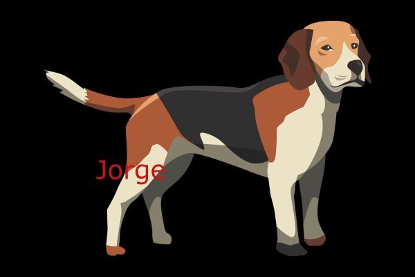 Mendezee Radio Merch Store