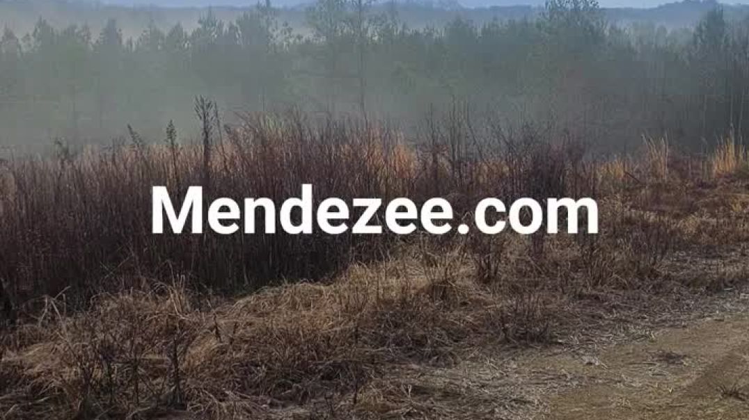 ⁣Beautiful morning